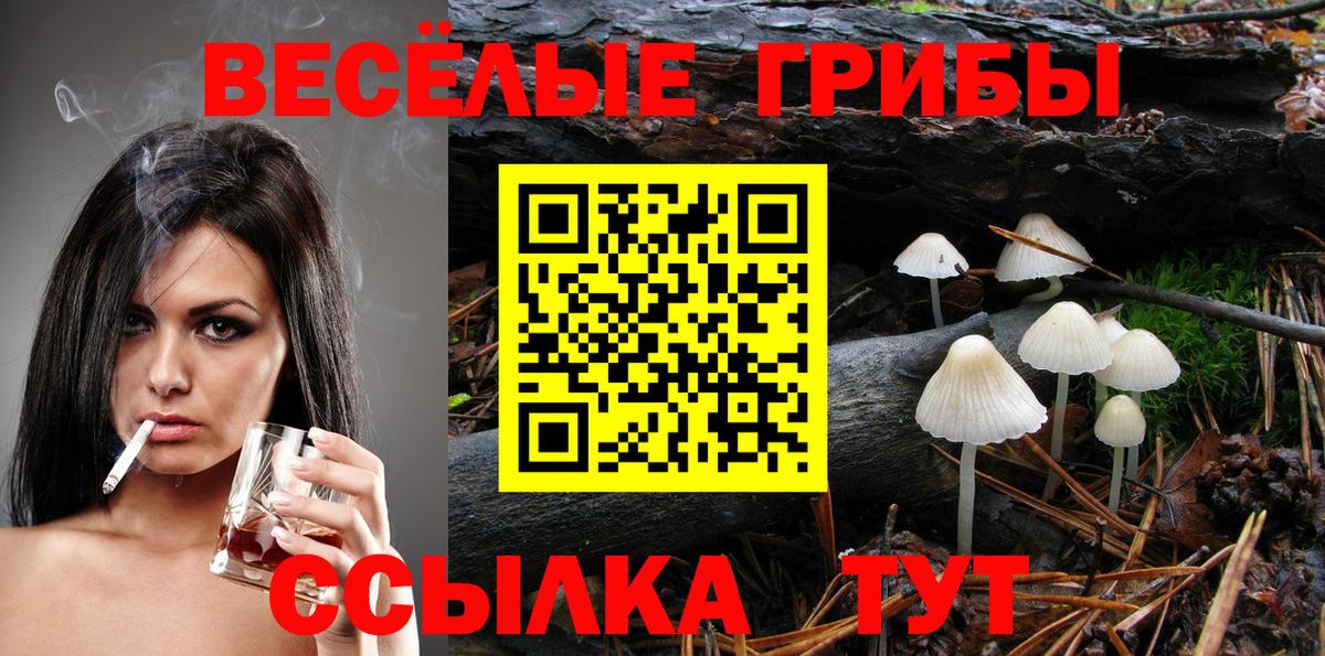 Псилоцибиновые грибы Cubensis  Вход с VPN  Электросталь 